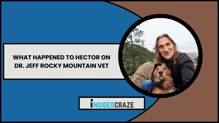 What Happened To Hector On Dr. Jeff Rocky Mountain Vet